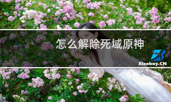 怎么解除死域原神