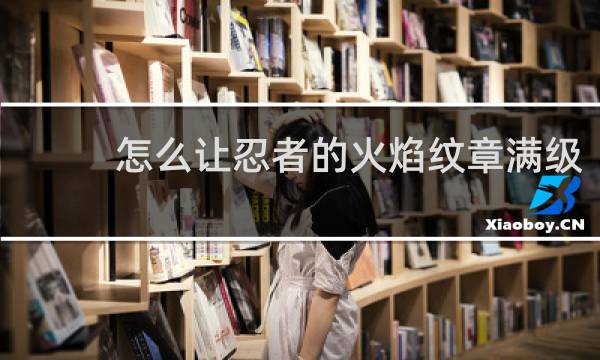怎么让忍者的火焰纹章满级