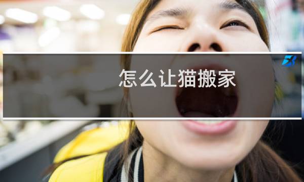 怎么让猫搬家