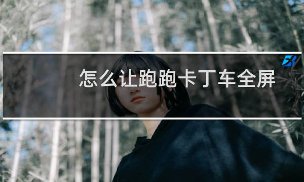 怎么让跑跑卡丁车全屏