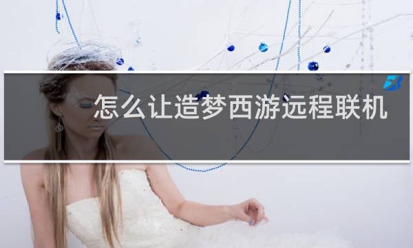怎么让造梦西游远程联机