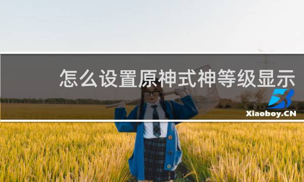怎么设置原神式神等级显示