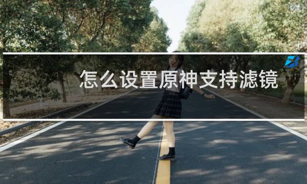 怎么设置原神支持滤镜