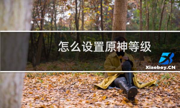 怎么设置原神等级