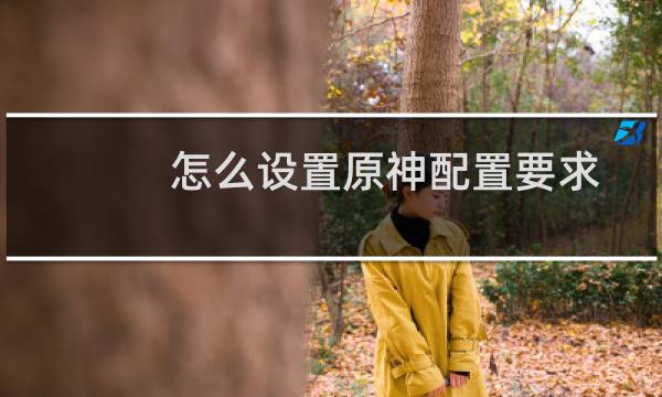 怎么设置原神配置要求