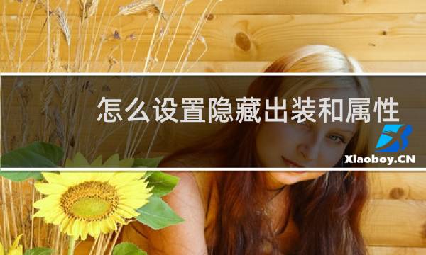 怎么设置隐藏出装和属性