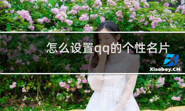 怎么设置qq的个性名片