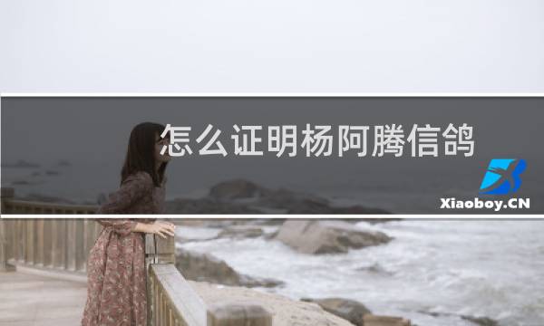怎么证明杨阿腾信鸽