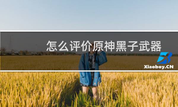 怎么评价原神黑子武器