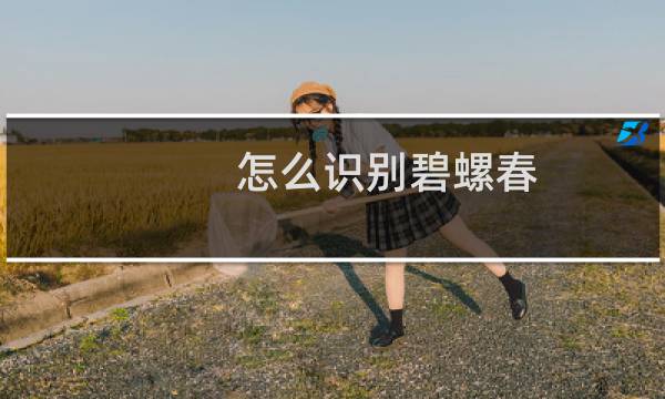 怎么识别碧螺春