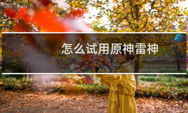 怎么试用原神雷神