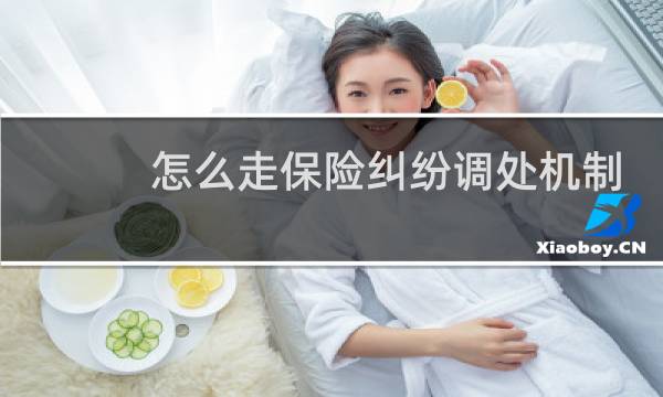 怎么走保险纠纷调处机制