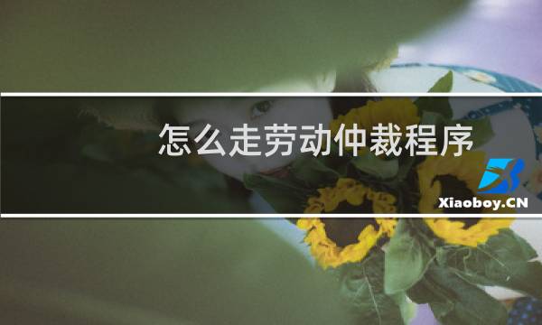 怎么走劳动仲裁程序