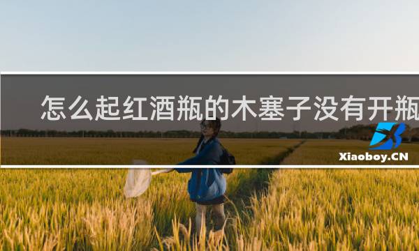 怎么起红酒瓶的木塞子没有开瓶器