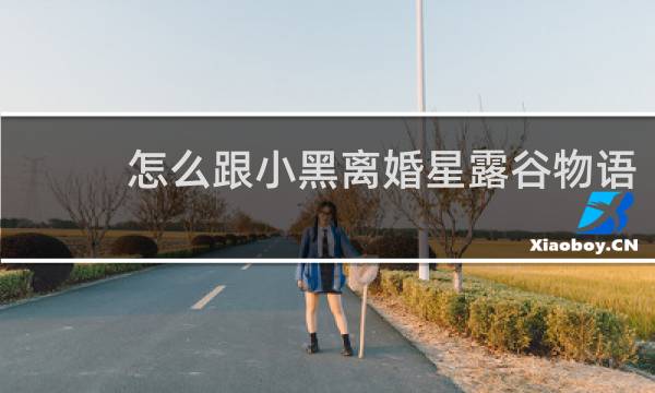怎么跟小黑离婚星露谷物语