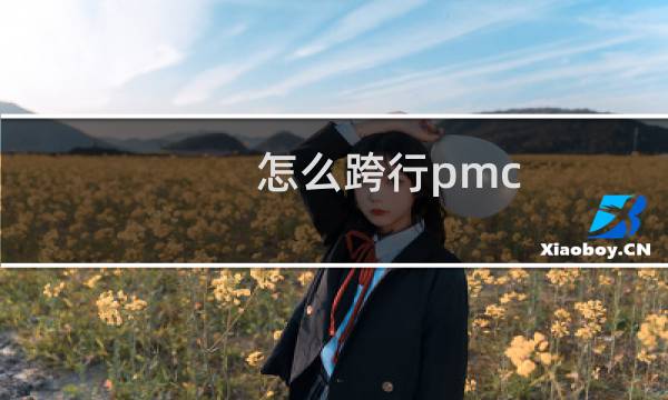 怎么跨行pmc