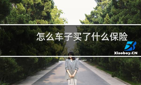 怎么车子买了什么保险