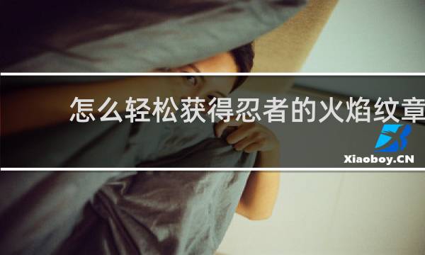 怎么轻松获得忍者的火焰纹章