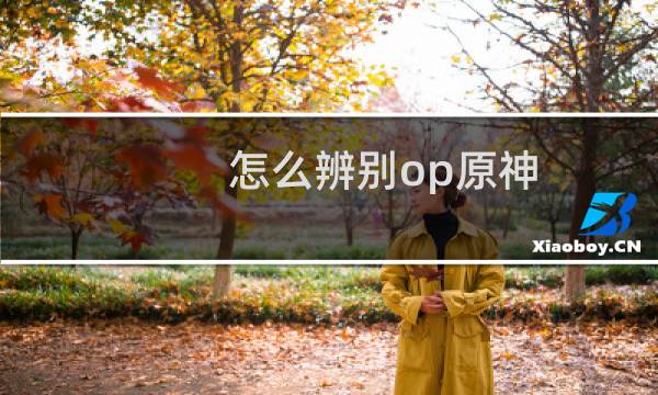 怎么辨别op原神