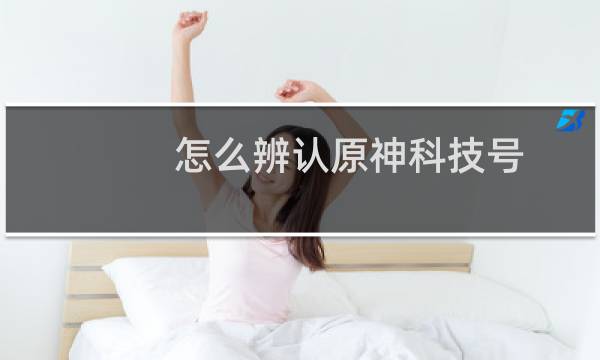 怎么辨认原神科技号