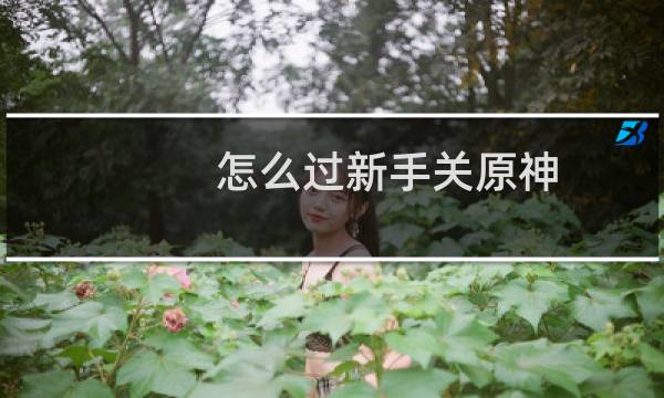怎么过新手关原神
