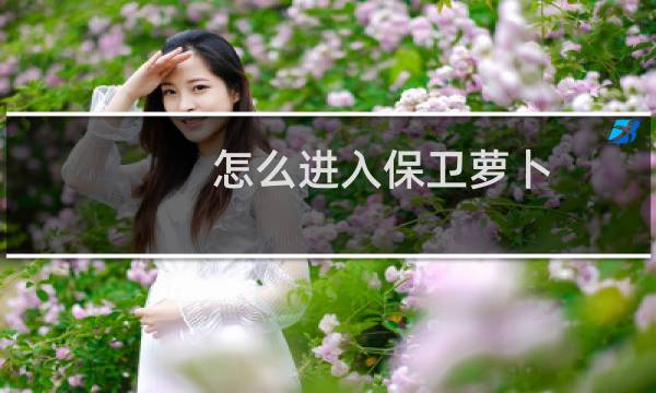 怎么进入保卫萝卜