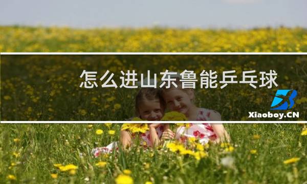怎么进山东鲁能乒乓球