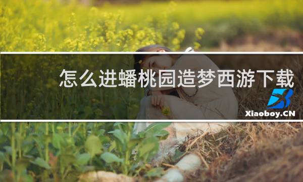 怎么进蟠桃园造梦西游下载