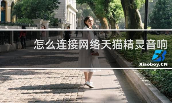 怎么连接网络天猫精灵音响