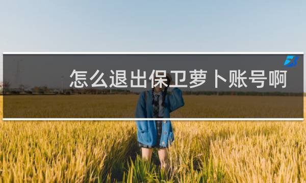 怎么退出保卫萝卜账号啊