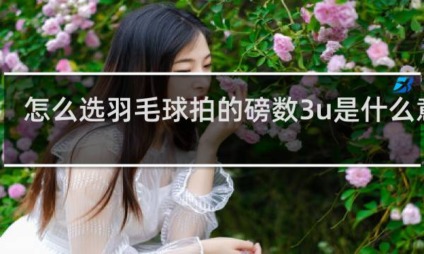 怎么选羽毛球拍的磅数3u是什么意思