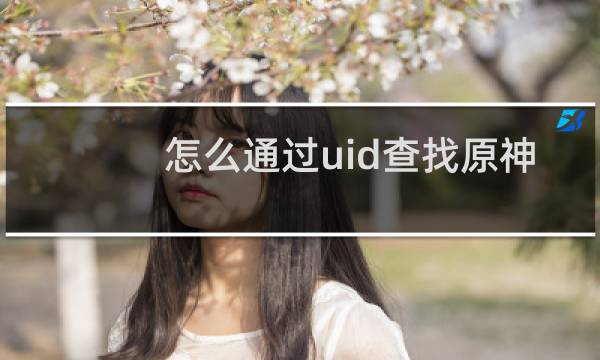 怎么通过uid查找原神