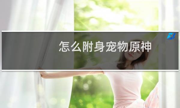 怎么附身宠物原神