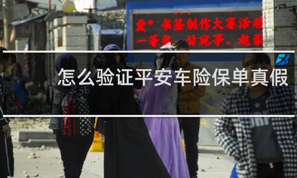 怎么验证平安车险保单真假