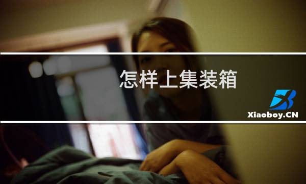 怎样上集装箱