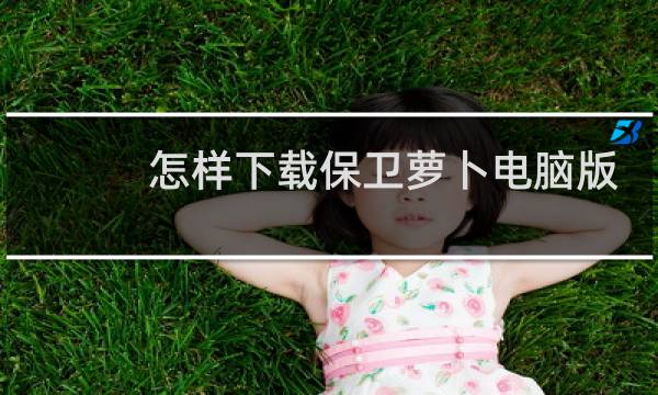 怎样下载保卫萝卜电脑版