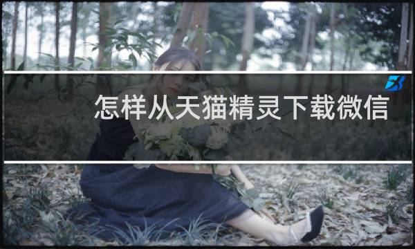 怎样从天猫精灵下载微信