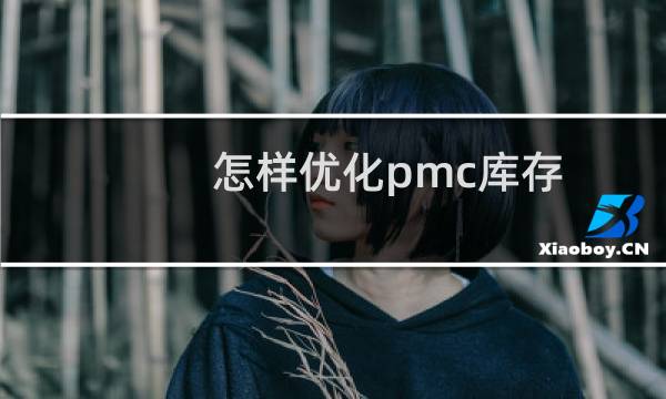怎样优化pmc库存