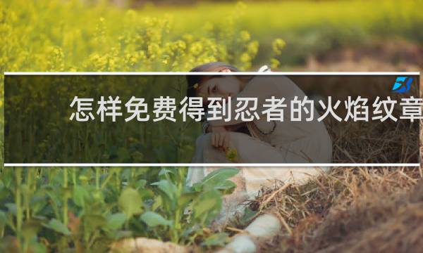 怎样免费得到忍者的火焰纹章