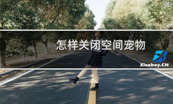 怎样关闭空间宠物