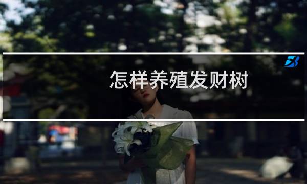 怎样养殖发财树