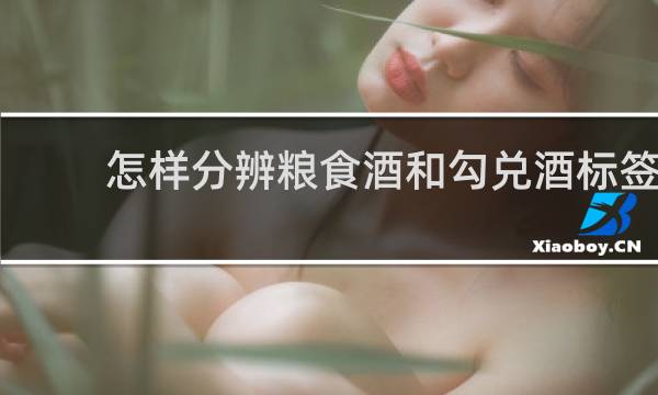 怎样分辨粮食酒和勾兑酒标签
