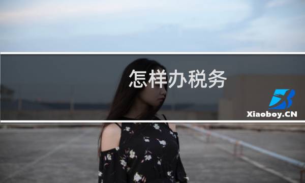 怎样办税务