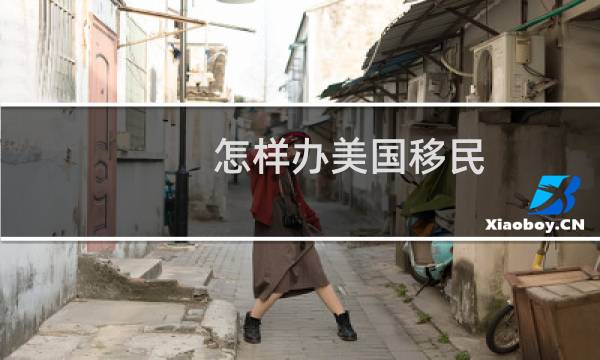 怎样办美国移民