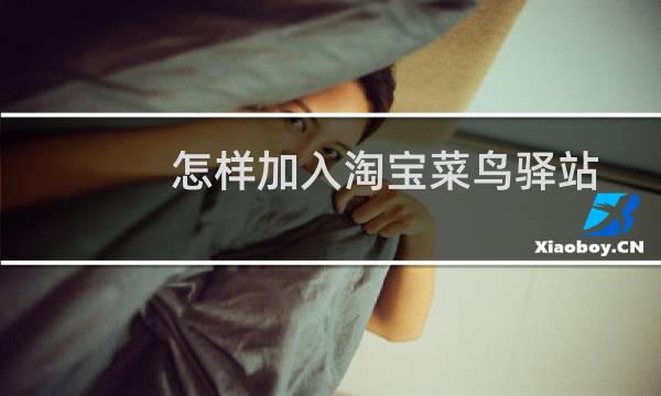 怎样加入淘宝菜鸟驿站