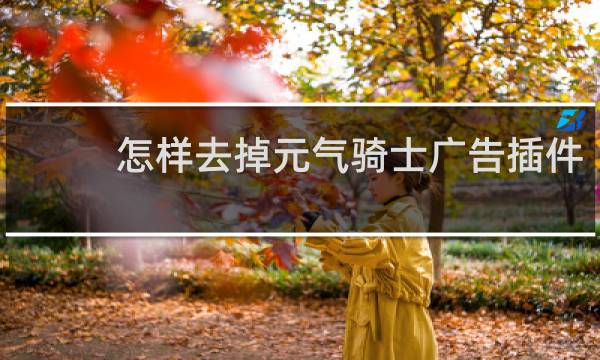 怎样去掉元气骑士广告插件