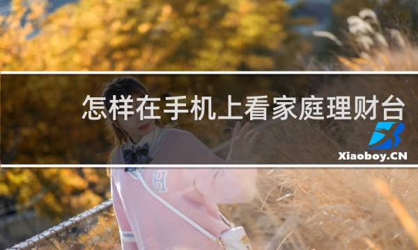 怎样在手机上看家庭理财台