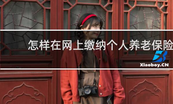怎样在网上缴纳个人养老保险