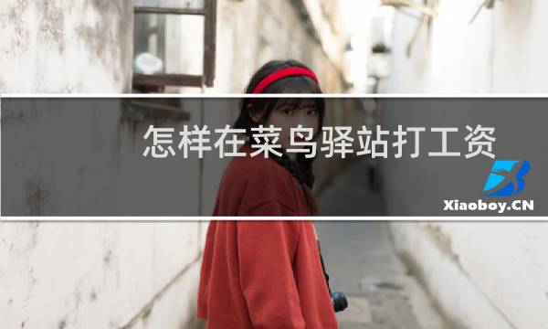 怎样在菜鸟驿站打工资