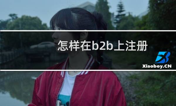 怎样在b2b上注册